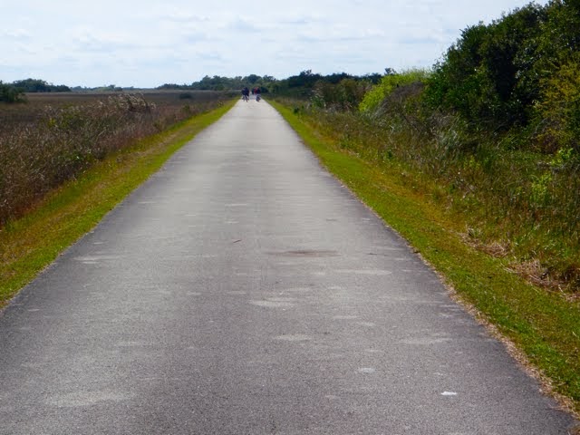 everglades national park bike trail