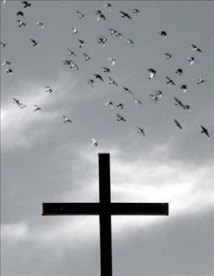 [20100320000503-aves.jpg]