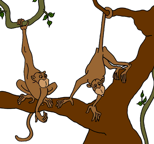 clipart image of monkey - photo #23