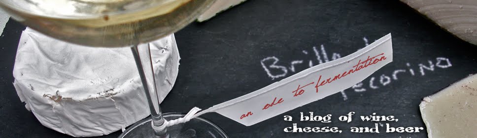 an ode to fermentation