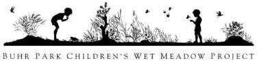 Buhr Park Children's Wet Meadow Project