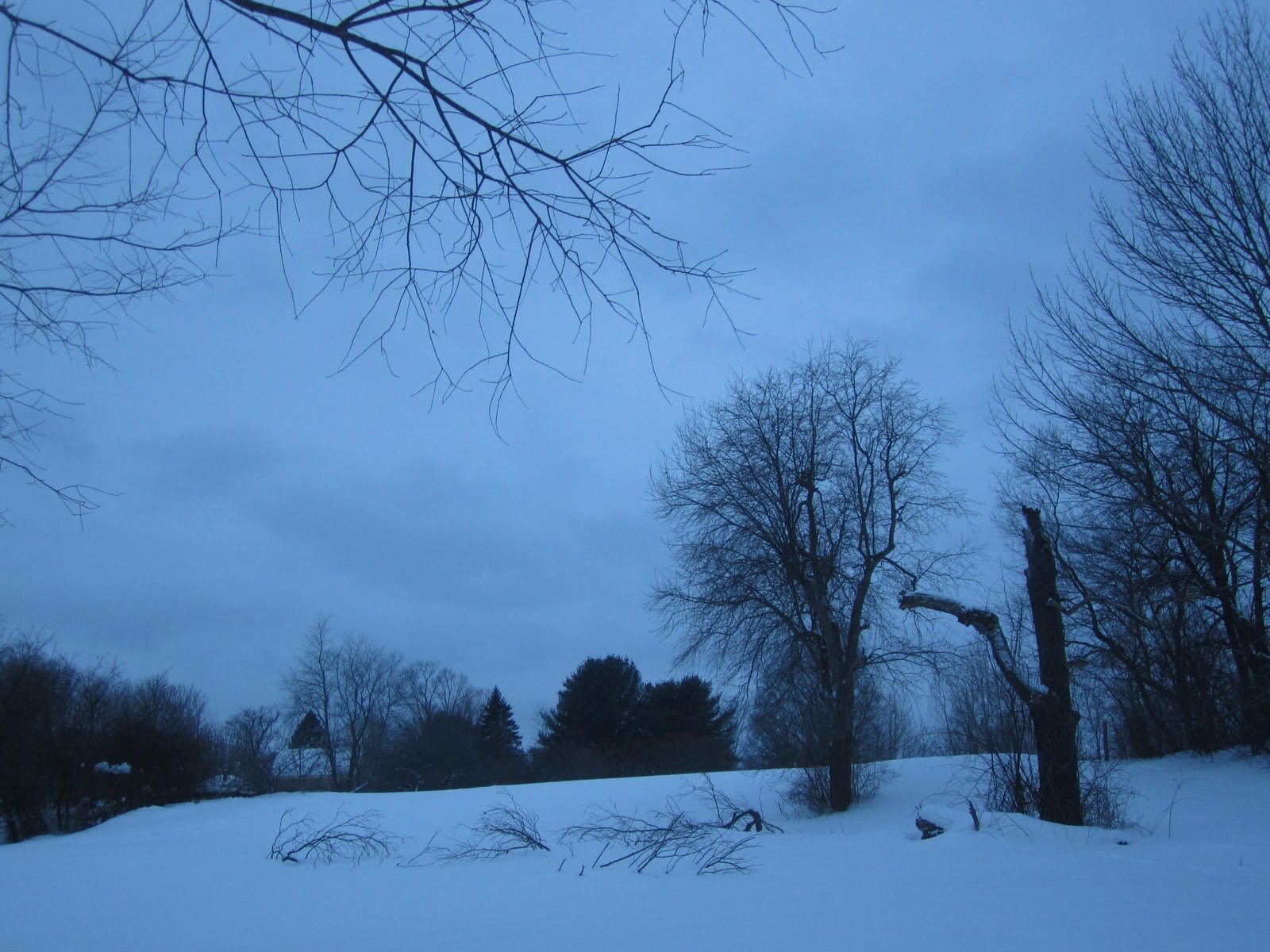 the sunrise blogger the smell of snow