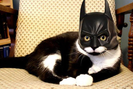 [batman-catwoman.jpg]