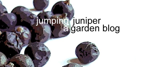 A Garden Blog