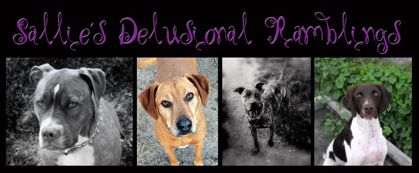 sallie's delusional ramblings