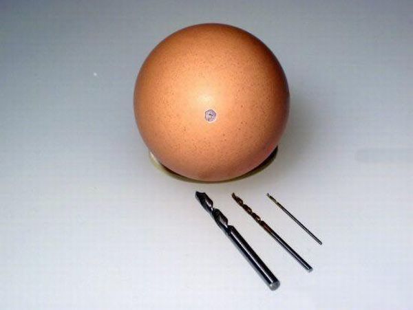 [egg_02.jpg]