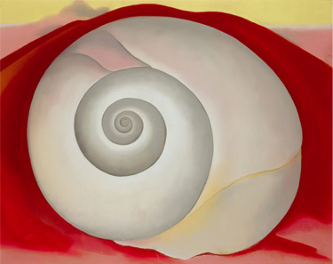 Georgia O'Keeffe. White Shell with Red, 1938. Alfred Stieglitz Collection.