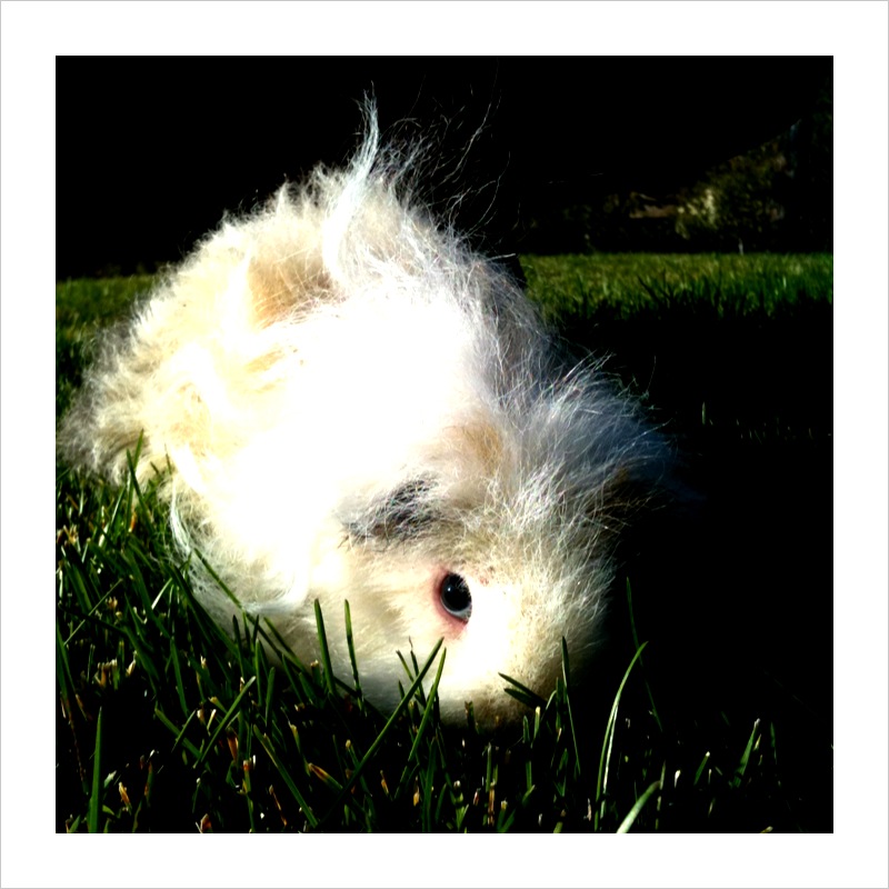 snaps: October 23, 2010