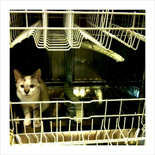 snaps: October 24, 2010