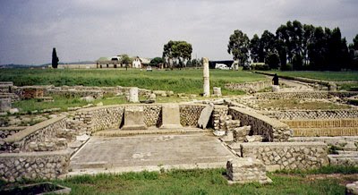 Visita della area archeologica di Lucus Feroniae e le Villa dei Volusii
