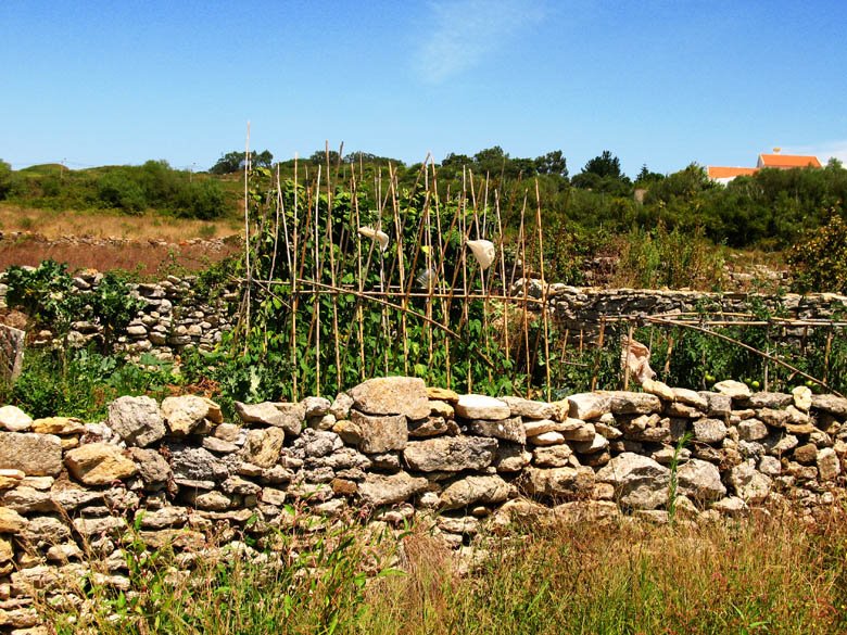 [06-08-2009_131.jpg]