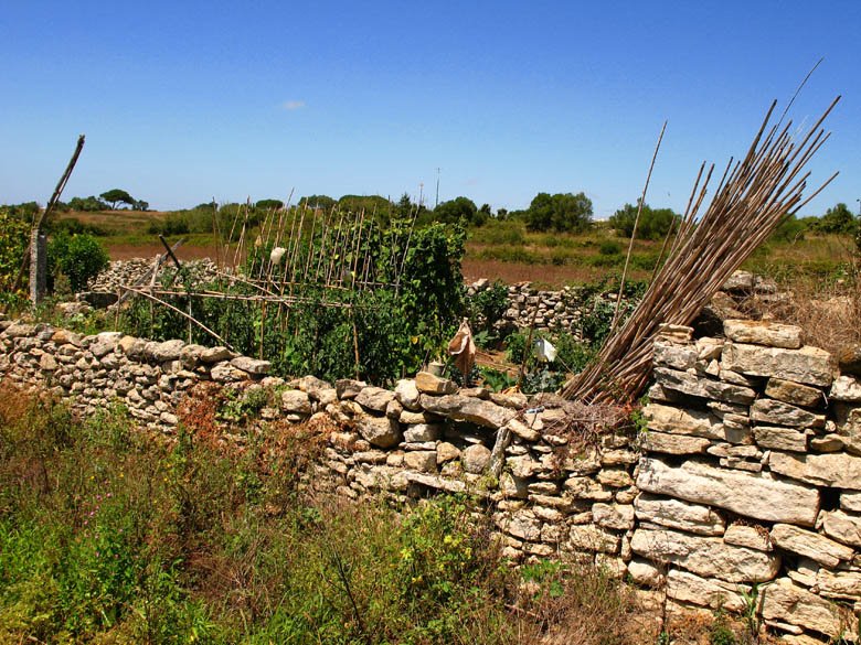 [06-08-2009_128.jpg]