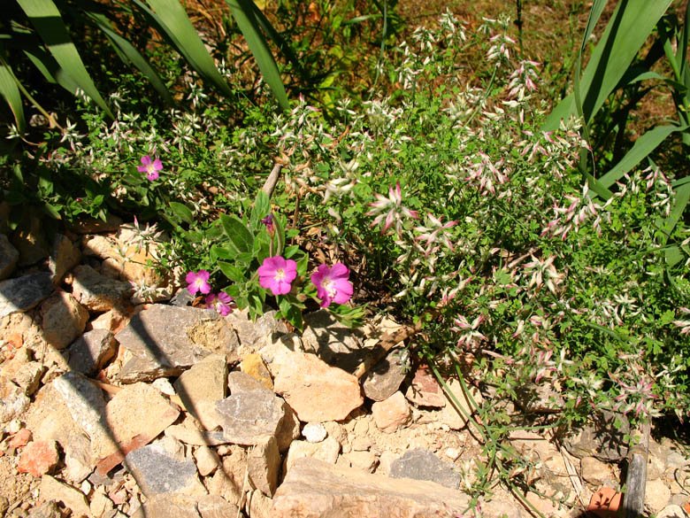 [06-08-2009_093.jpg]