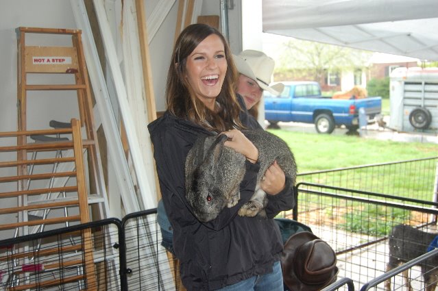 [Kristenwgiantrabbit.jpg]