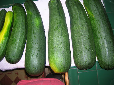 The Ark Carson Ward: Vegetable Gardening