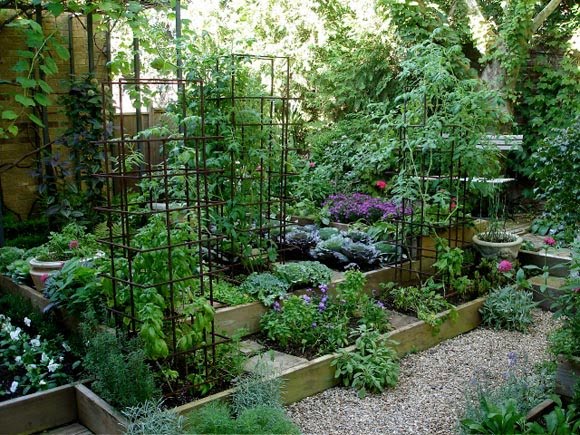 First A Dream: Raised Bed, No Till Gardens