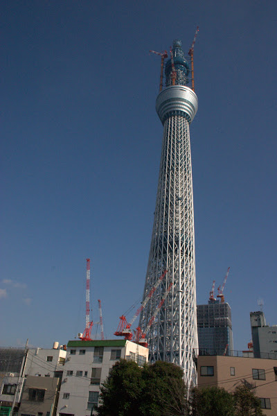 業平橋から見た建設中(529m)の東京スカイツリー