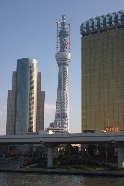 吾妻橋から見た建設中(529m)の東京スカイツリーズーム