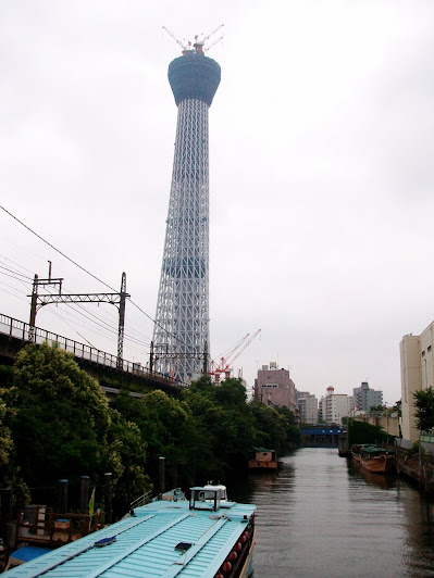 源森橋から見た建設中(398m)の東京スカイツリー