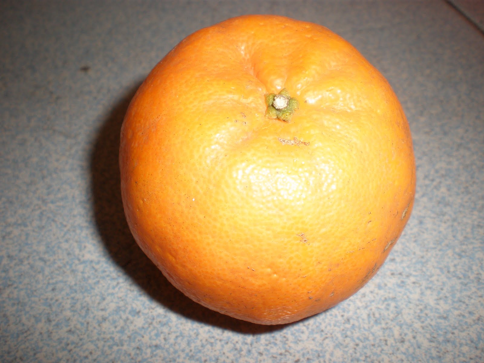 4fn1mffamily Peminat Limau Mandarin