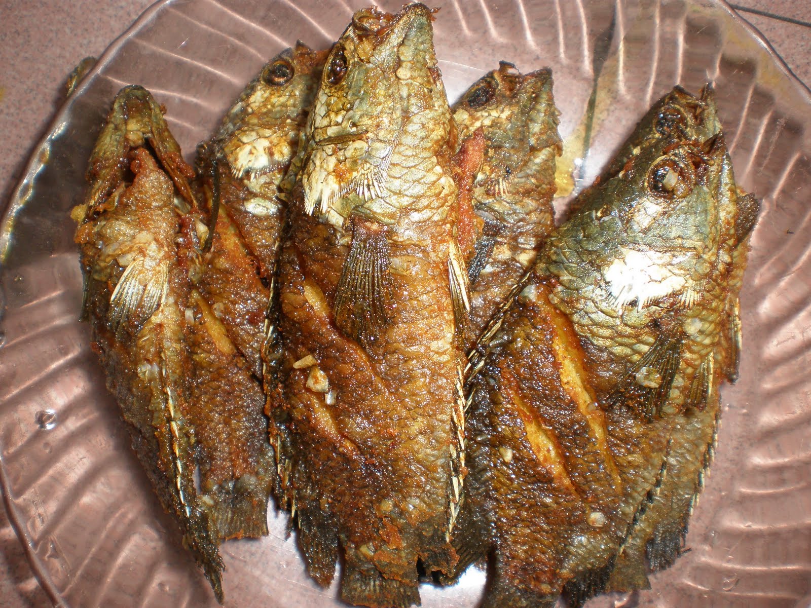 4fn1mf-family: Mengidam ikan puyu + rindu nenek......