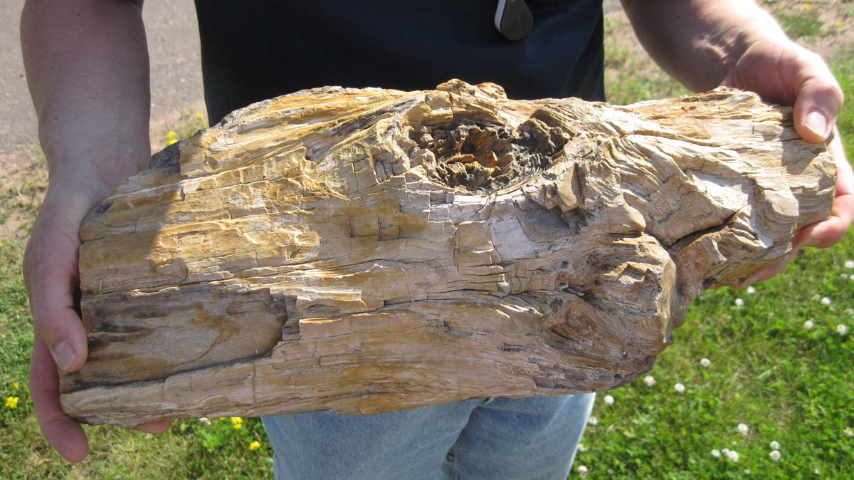 The Agatelady Adventures and Events Moose Lake Agate Days Post 1