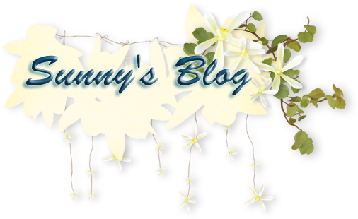 Sunny's Blog