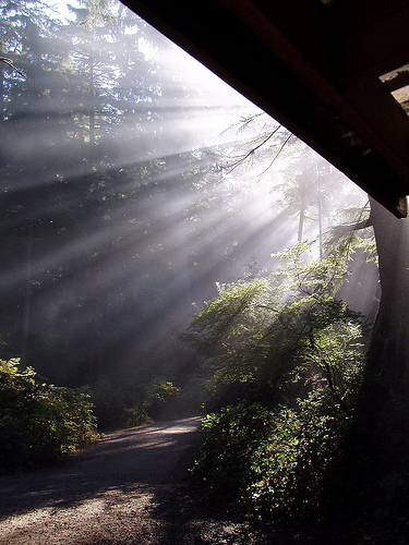 [oregon+pic.jpg]
