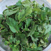 Health benefits of Mint leaves
