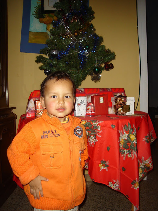 junior para la navidad2007