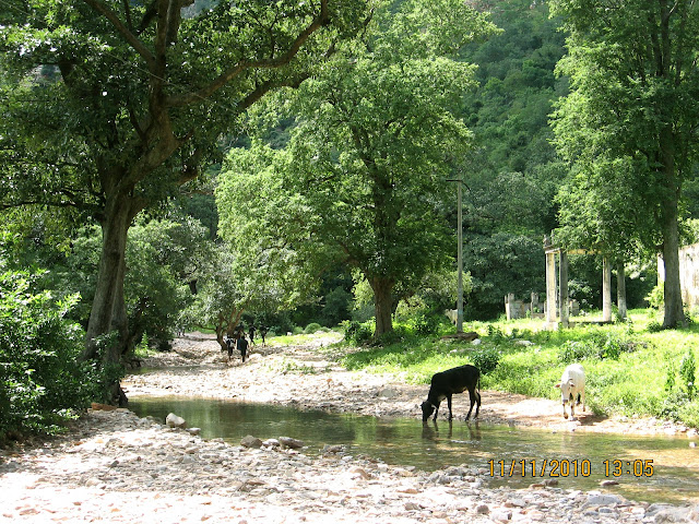 Ebharat Darshan November 2010