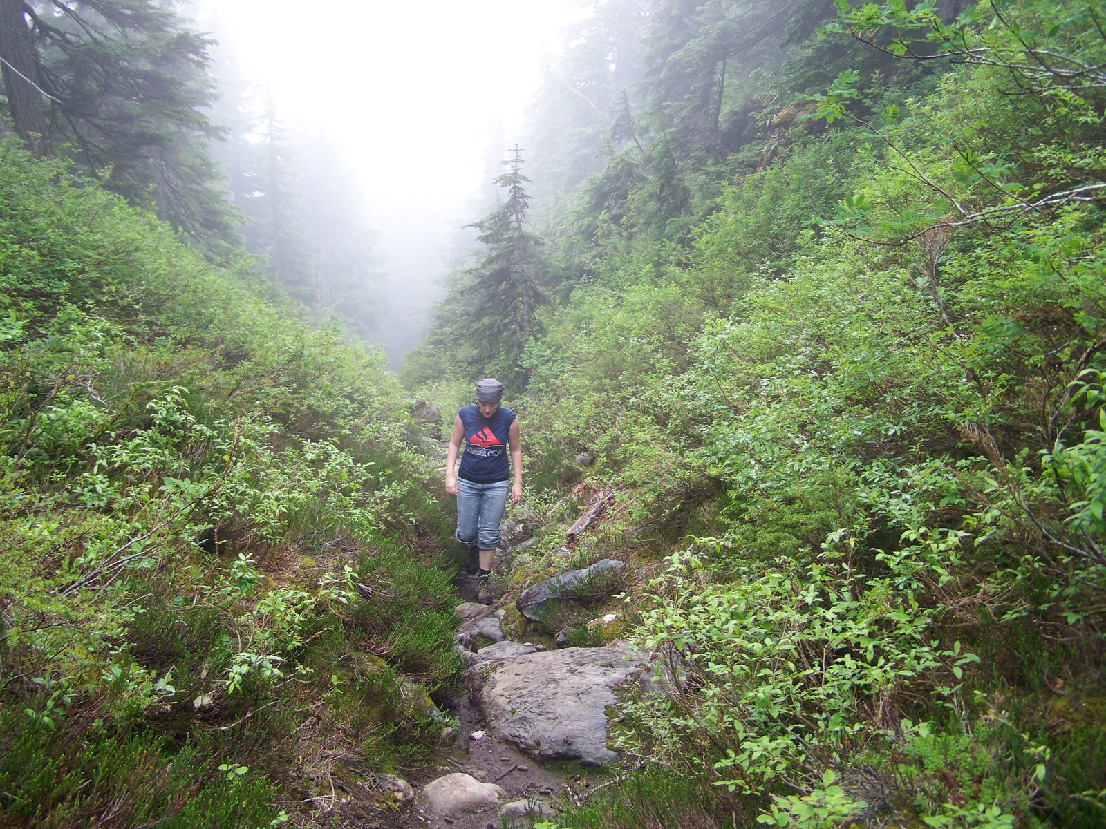 [mist+hiking.JPG]