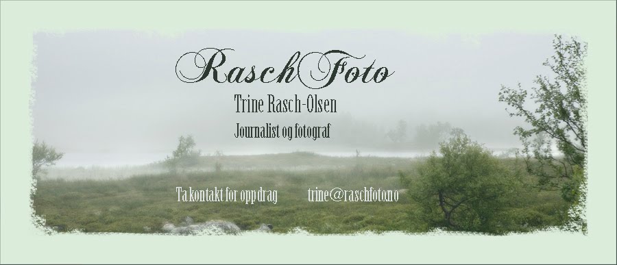 RaschFoto