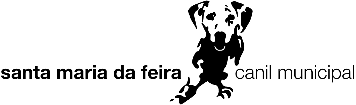 [canil+municipal+pb.jpg]
