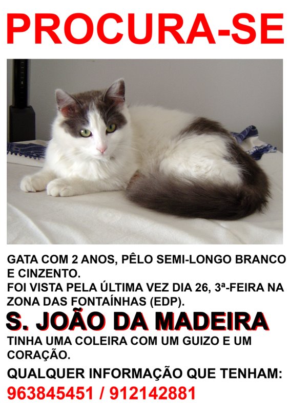 [AVISO+DAISY+peq.jpg]