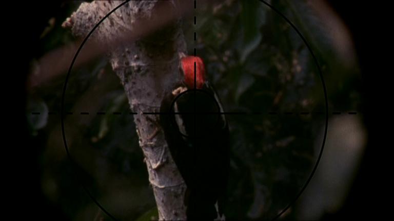 [PDVD_028.JPG]