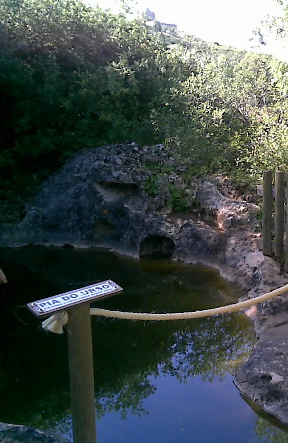 [30052009(031)-001.jpg]