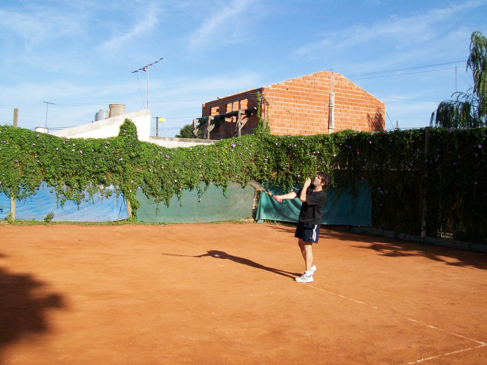 [rg26.JPG]