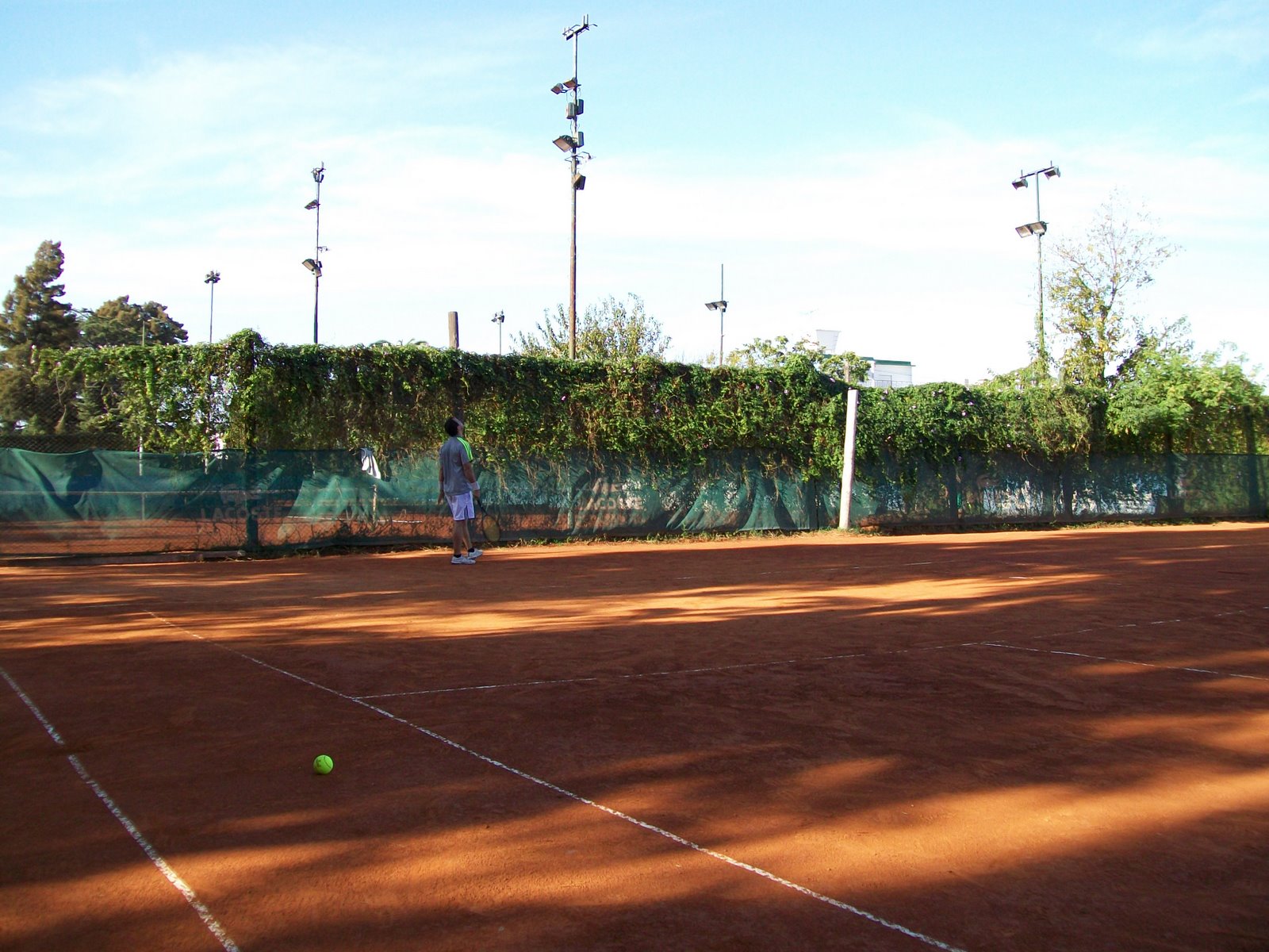 [rg22.JPG]