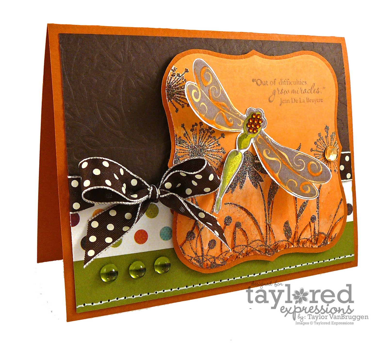 [TESC101_Taylor.jpg]