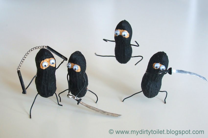 mydirtytoilet Ninja Nuts