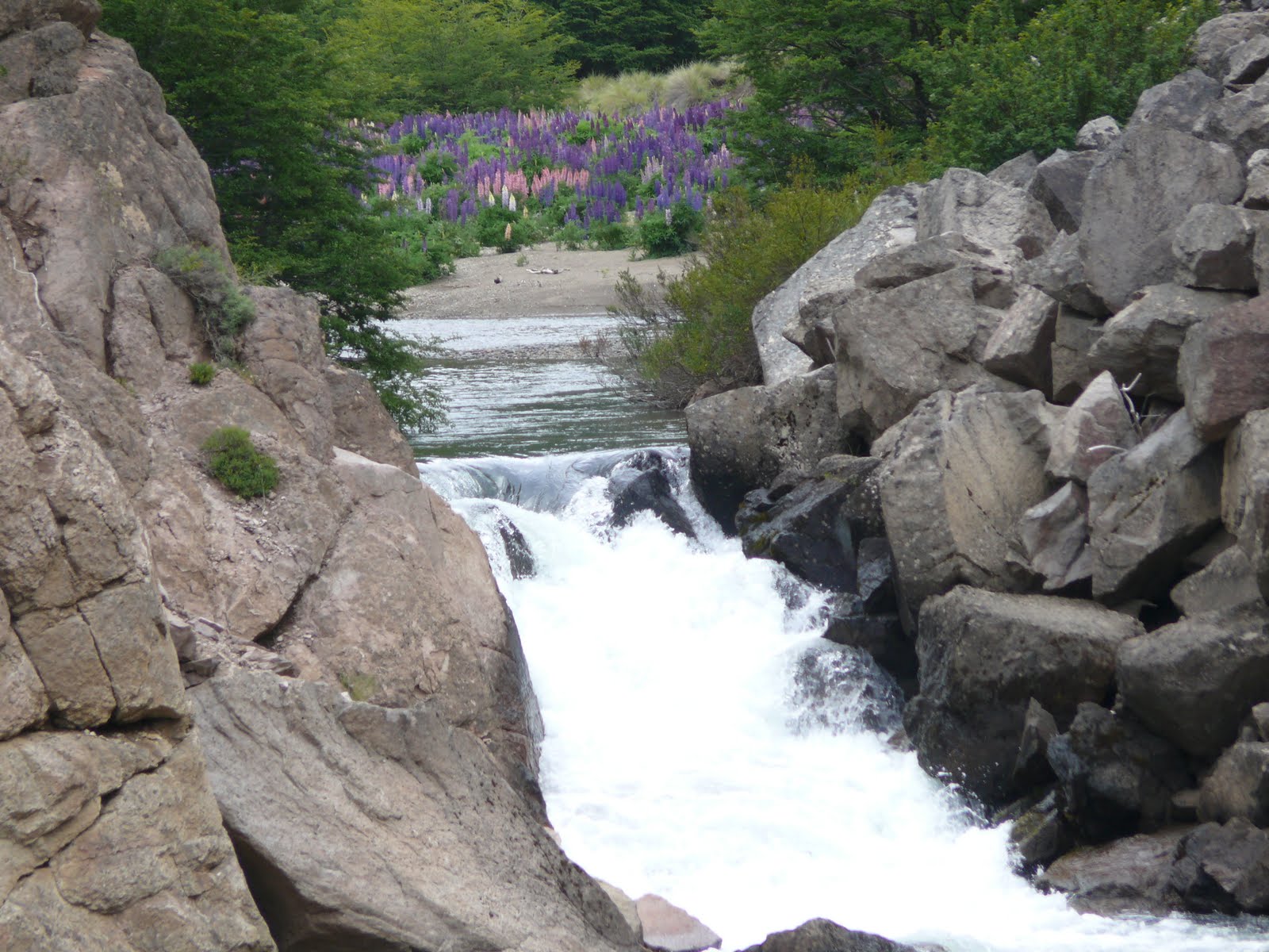 Fotos de la Patagonia Arroyo entre piedras