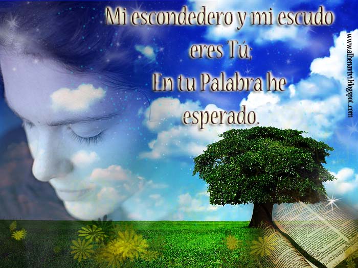 CRISTO EL MOTIVO DE MI CANCIÓN: Tu Palabra mi garantía...