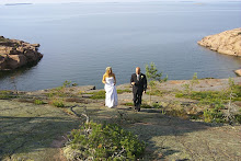 Our Wedding