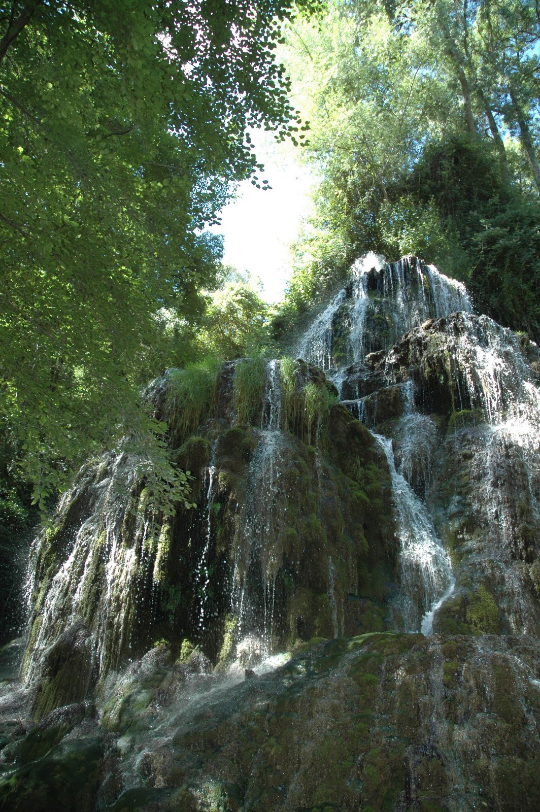 DSC_5264.JPG