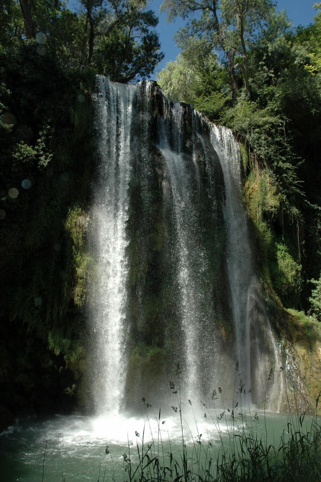 DSC_5265.JPG