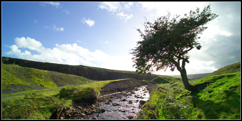 The Daily Stumbler Drawing Near to God Through Nature