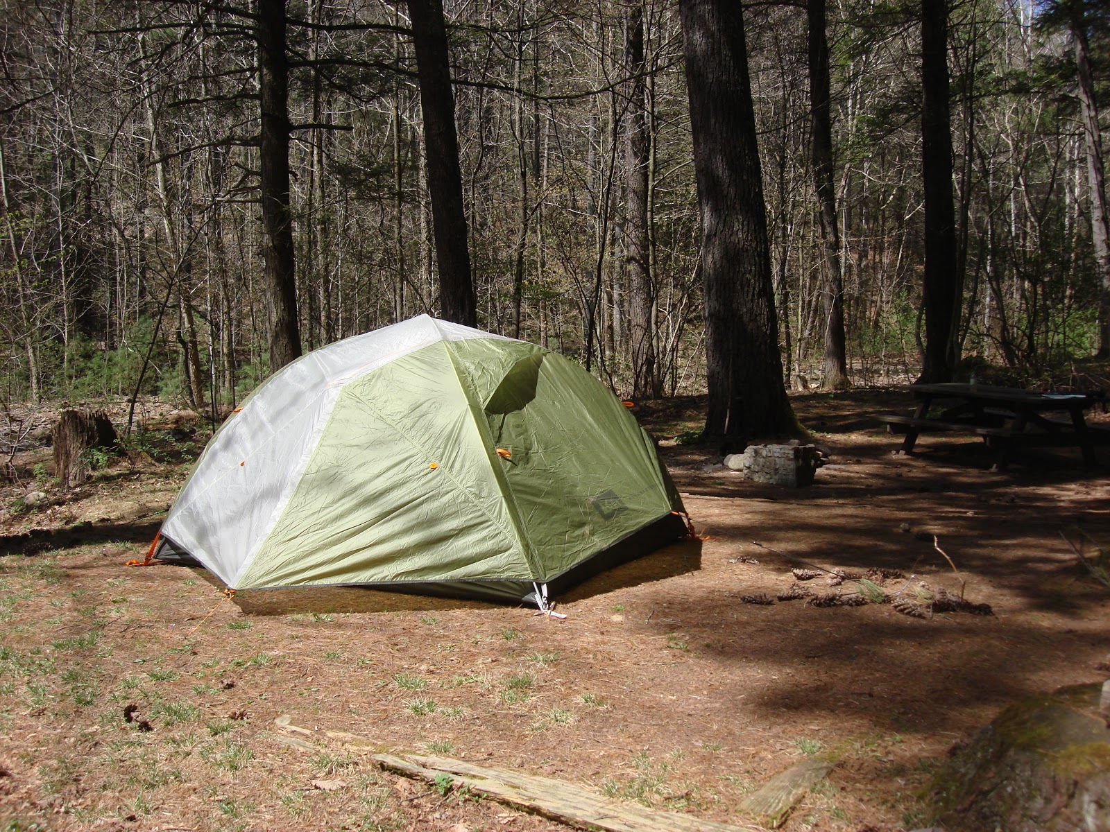 The camp left. Trivor Adventure палатка. Палатка Trivor Adventure 4 местная. Палатка Bask Bonzer 3. Light Step 2 палатка Trivor.