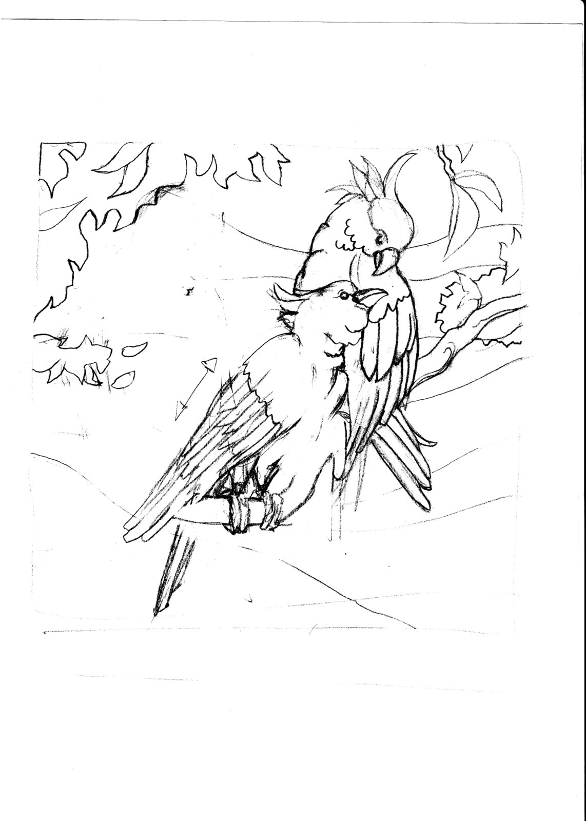 [PSOIE-Dess-aras.jpg]