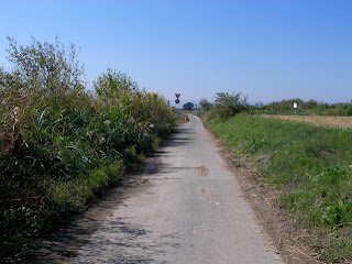 滝馬室橋